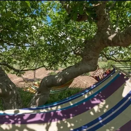 Le Cernicole Casa de Férias *