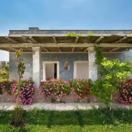 Le Cernicole Melissano