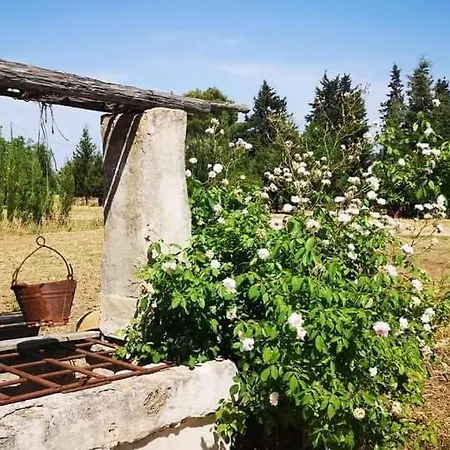 Casa de Férias Le Cernicole